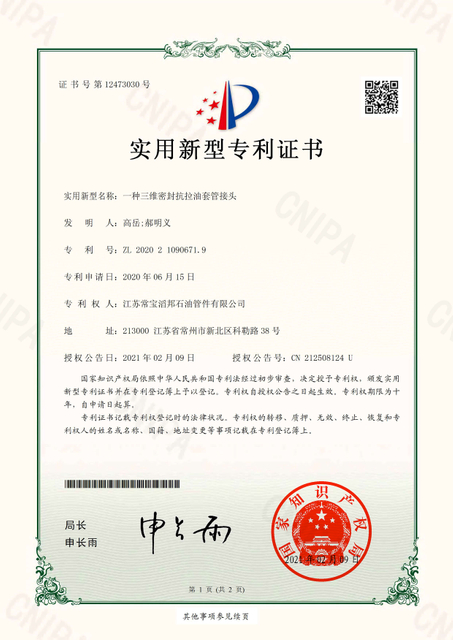 patent2